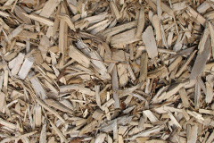 biomass boilers Powlers Piece